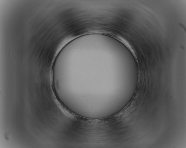 X0000093620811200710151039
