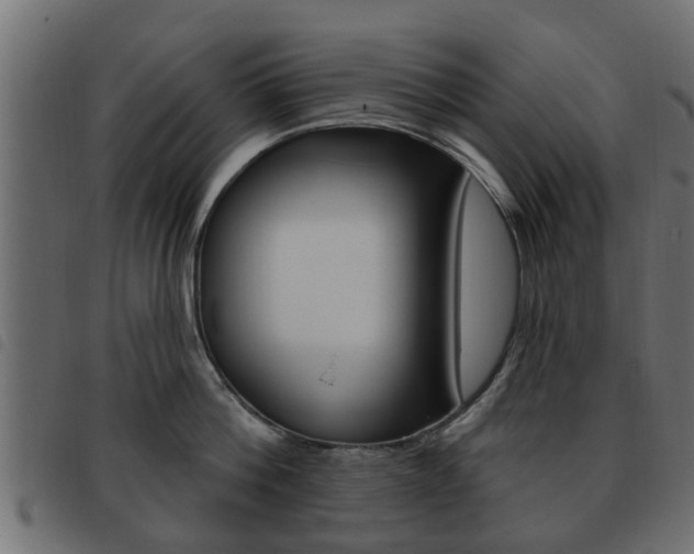 X0000093620812200710151039