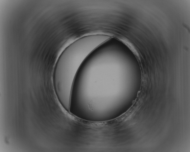 X0000093620813200710151039