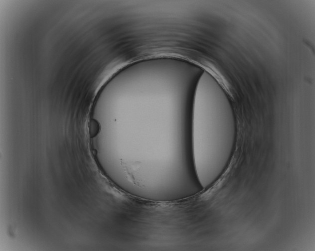 X0000093620814200710151039