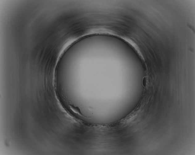 X0000093620815200710151039
