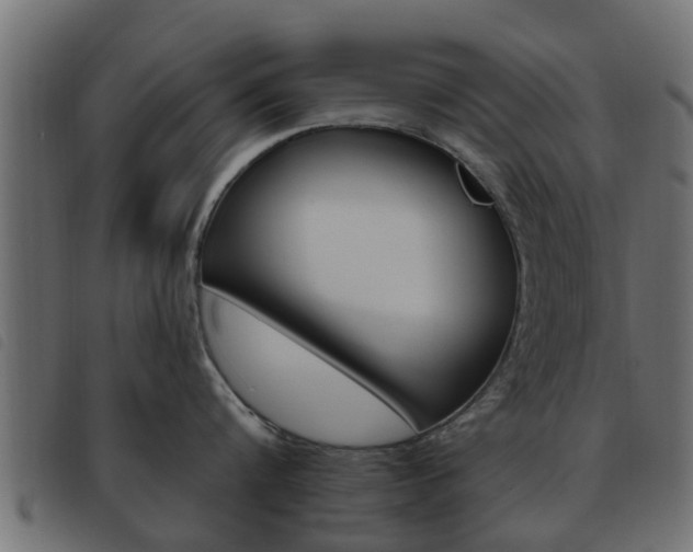 X0000093620816200710151039