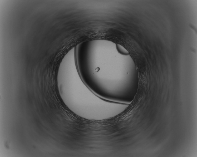 X0000093620818200710151038