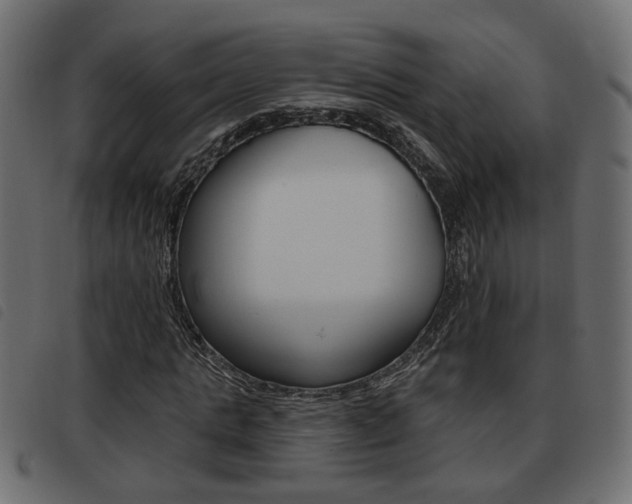 X0000093620821200710151039
