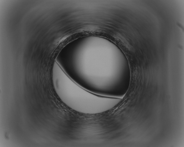 X0000093620822200710151039
