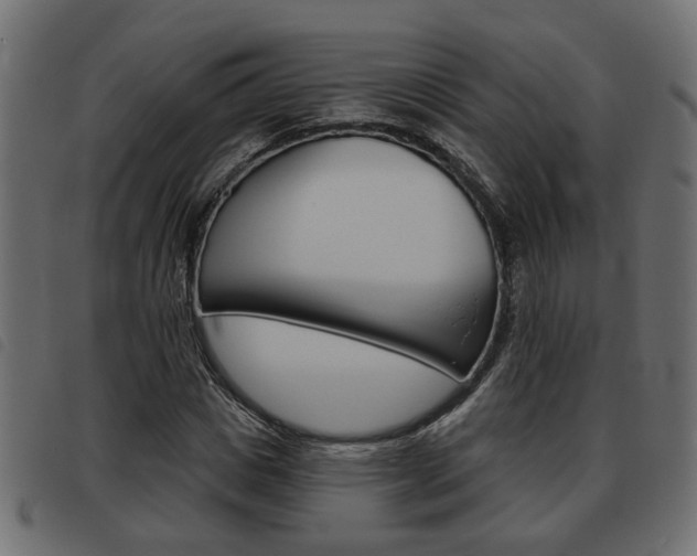 X0000093620825200710151039