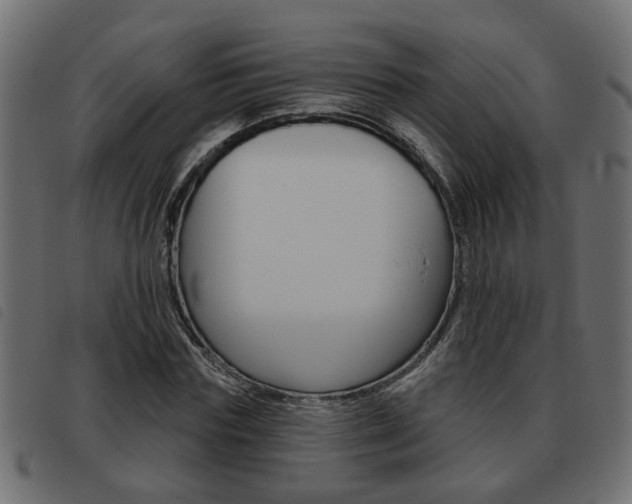 X0000093620827200710151039