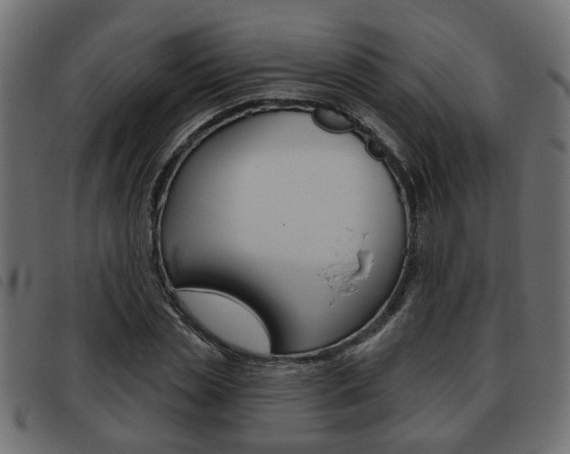 X0000093620829200710151039