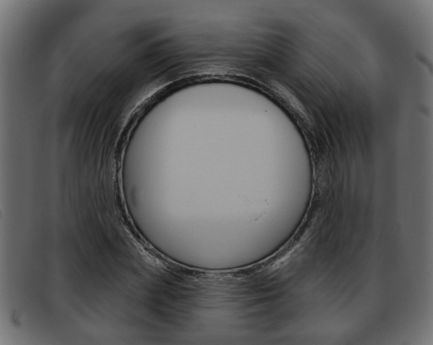 X0000093620831200710151039