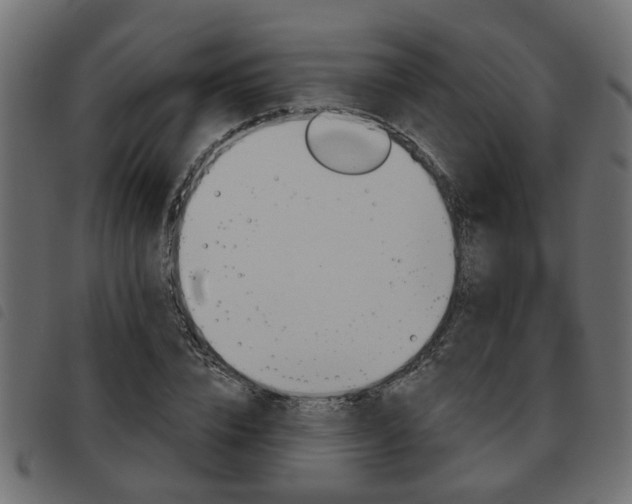 X0000093620832200710151039