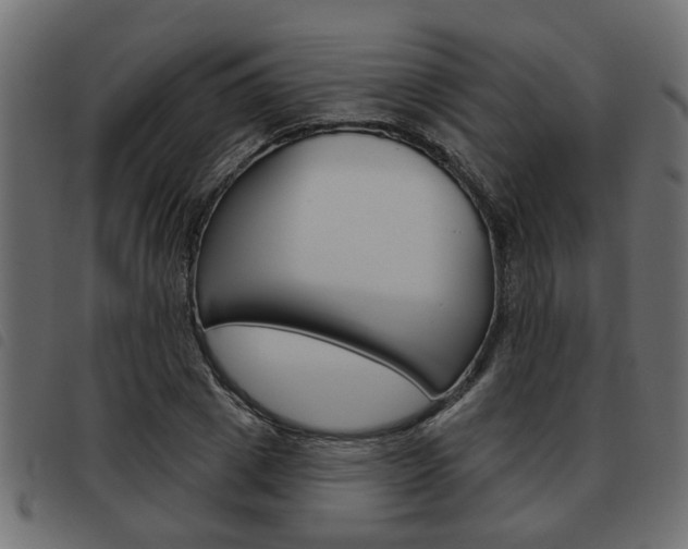 X0000093620833200710151039