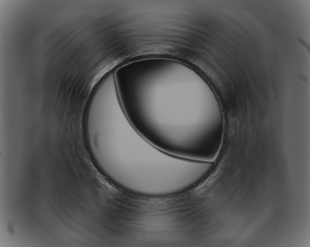 X0000093620834200710151039