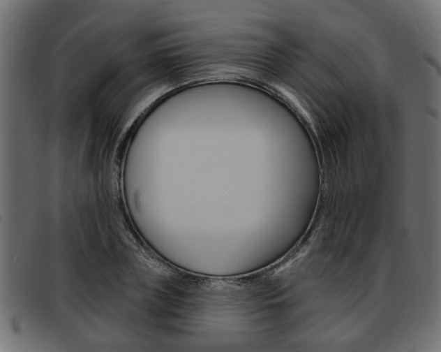 X0000093620835200710151039