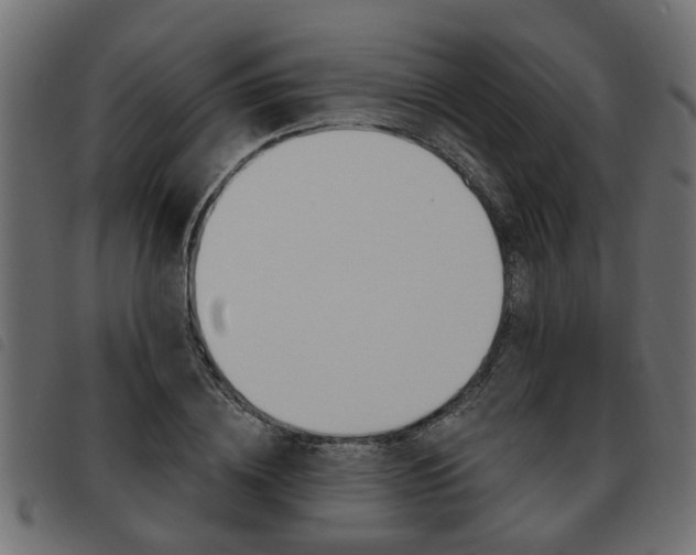 X0000093620836200710151039