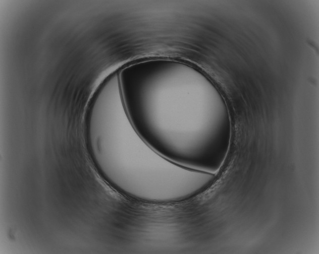 X0000093620838200710151039