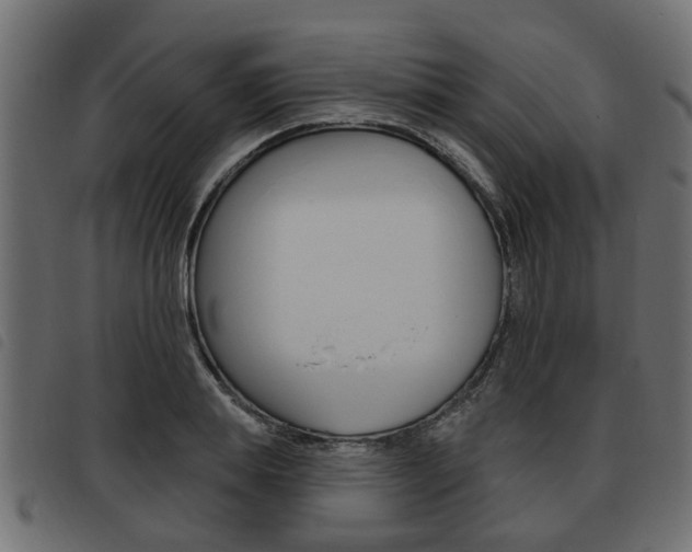 X0000093620839200710151039