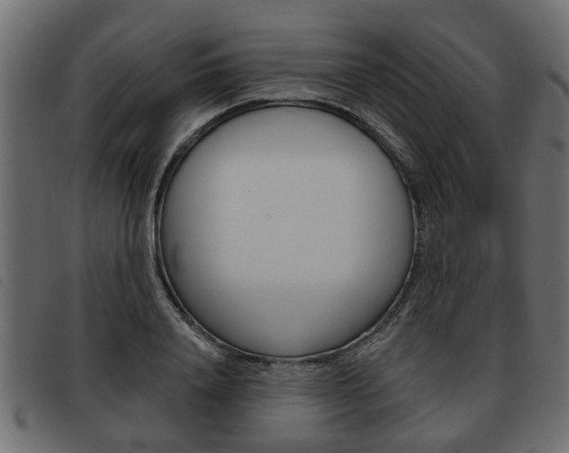 X0000093620840200710151039