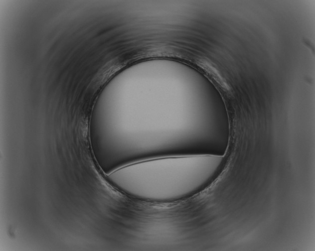 X0000093620841200710151039