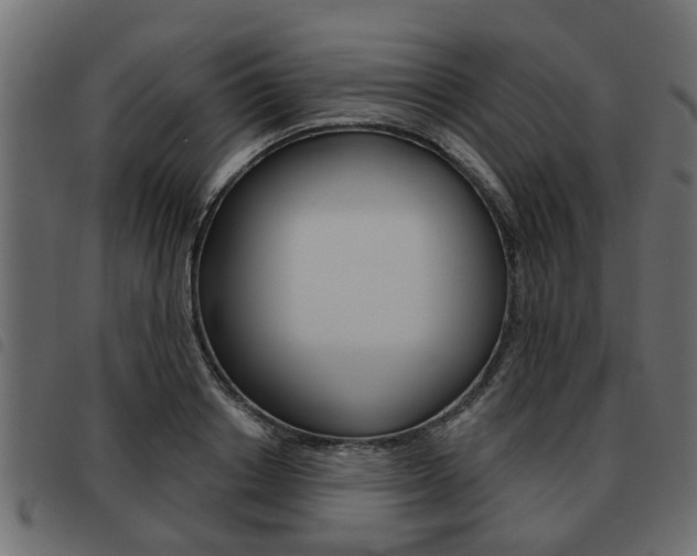 X0000093620842200710151039