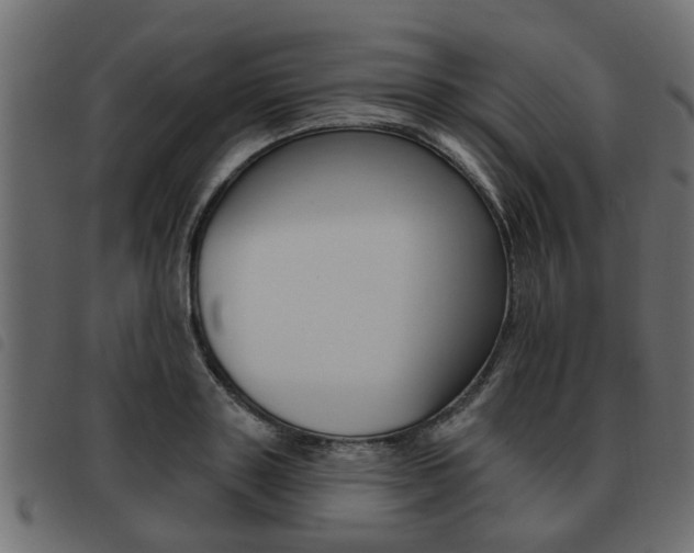 X0000093620843200710151039
