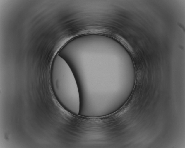 X0000093620844200710151039