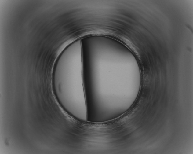 X0000093620845200710151039
