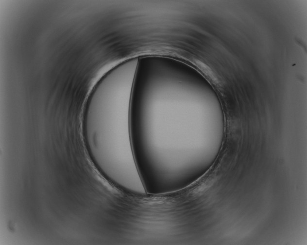 X0000093620846200710151039