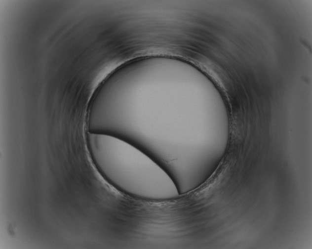 X0000093620847200710151039