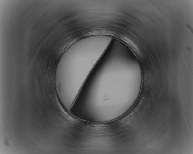 X0000093620849200710151039