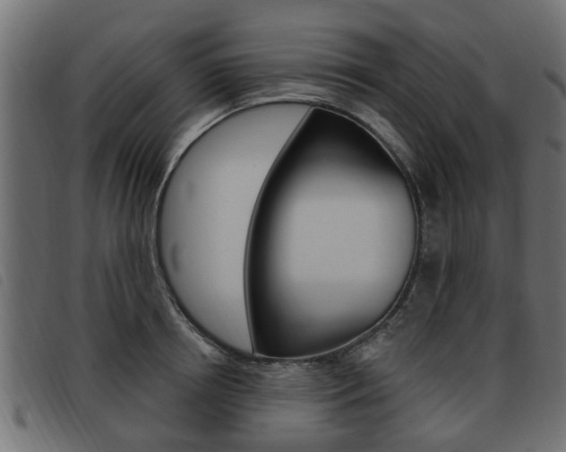 X0000093620850200710151039