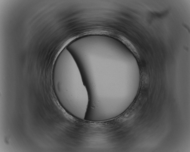 X0000093620852200710151039