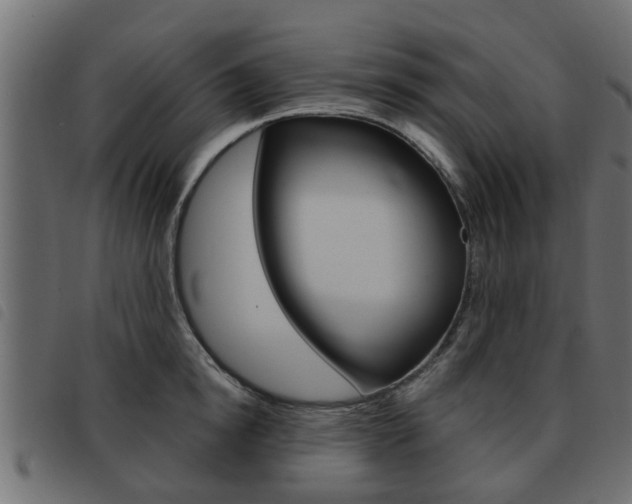 X0000093620854200710151039