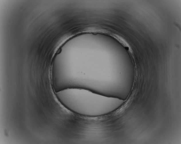 X0000093620855200710151039