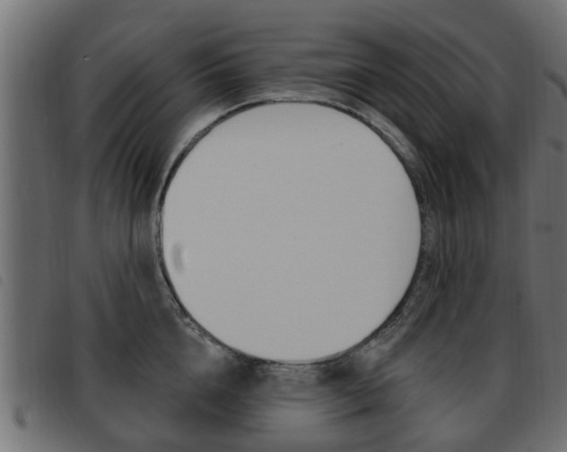 X0000093620856200710151039