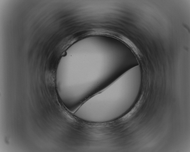 X0000093620857200710151039