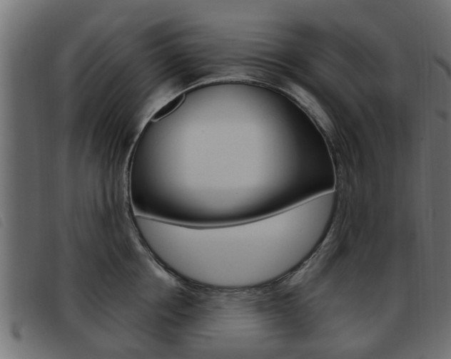X0000093620858200710151039