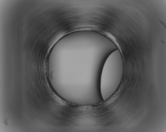X0000093620859200710151039