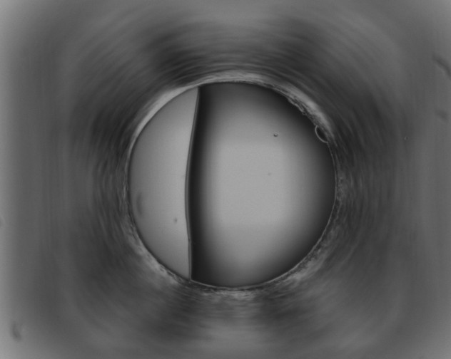 X0000093620860200710151039