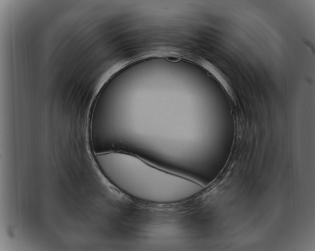 X0000093620861200710151039