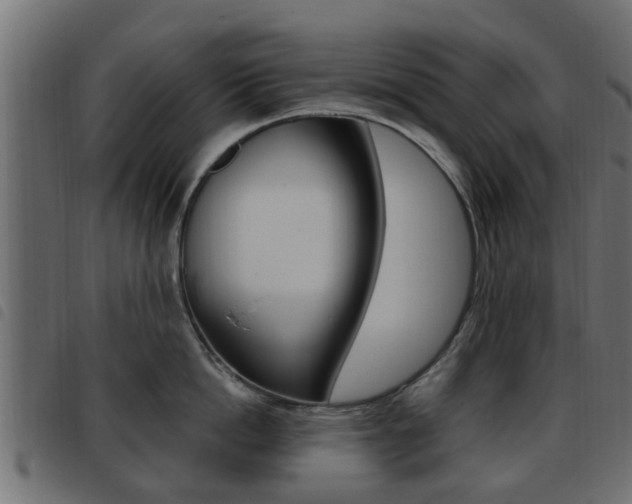 X0000093620862200710151039