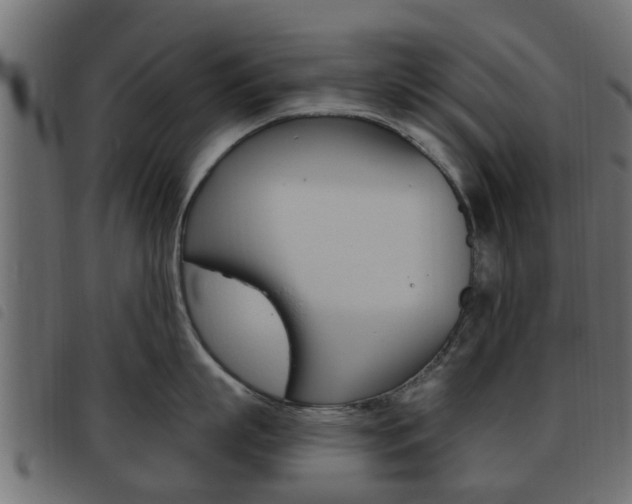X0000093620863200710151039
