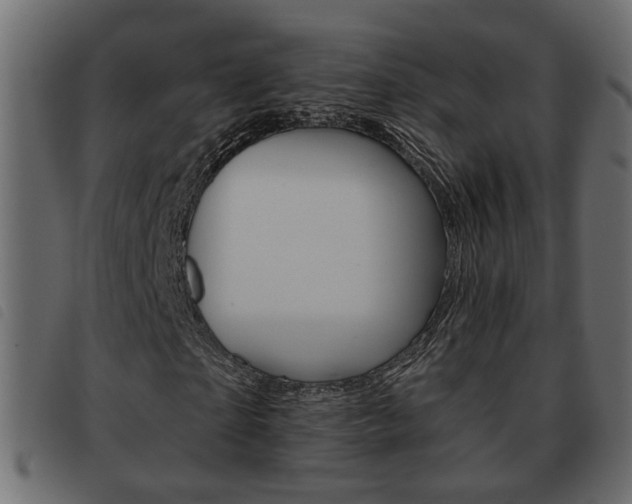 X0000093620865200710151038