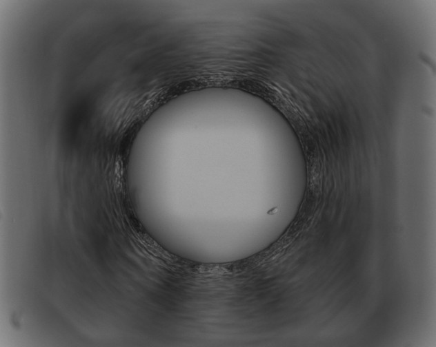 X0000093620866200710151038