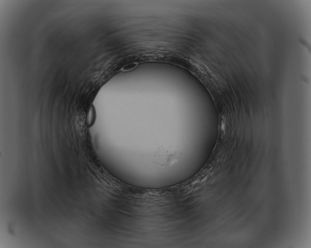 X0000093620867200710151038