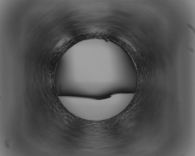 X0000093620869200710151038