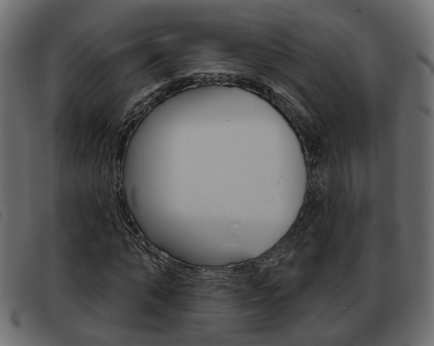 X0000093620870200710151038