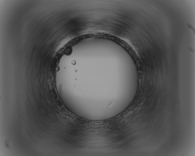 X0000093620871200710151038