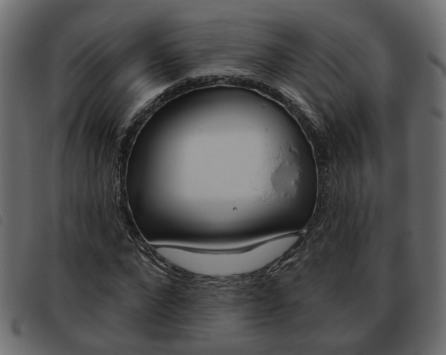 X0000093620872200710151038