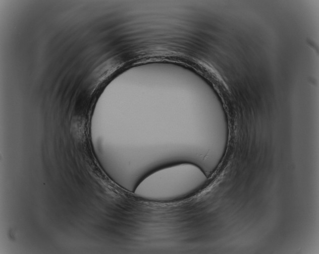X0000093620873200710151038