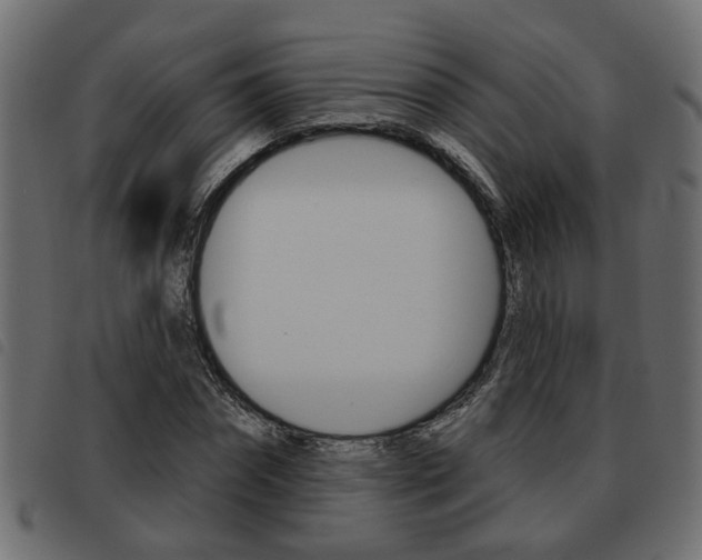 X0000093620874200710151038